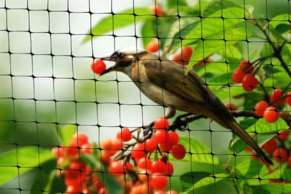 48ca00965dc4b65ee3dbdbe64fa4e6e3