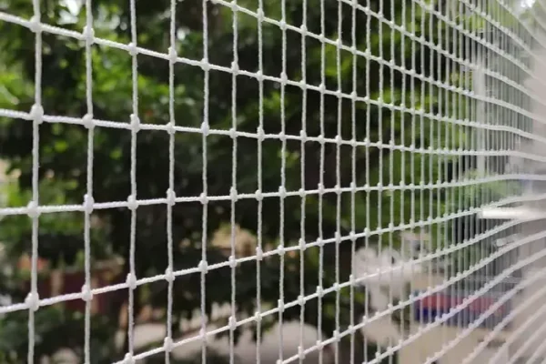 Elite-Netting-Bird-Netting-Services-in-Isnapur-Patancheru-Patancheruvu-and-Throughout-Hyderabad